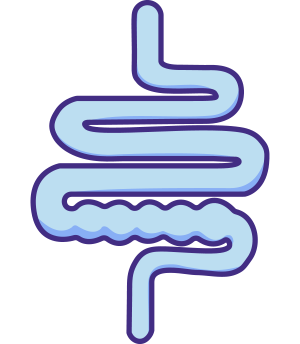 An icon of intestines with a blockage.