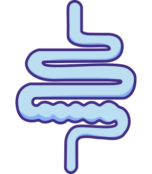 An icon of intestines with a blockage. 