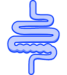 Results Section1 Image